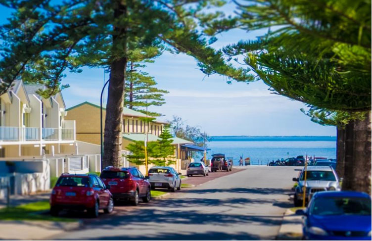 A picture down a street showing some nice houses, parked cars to the side and pine trees lining the street. At the end of the street is the ocean.